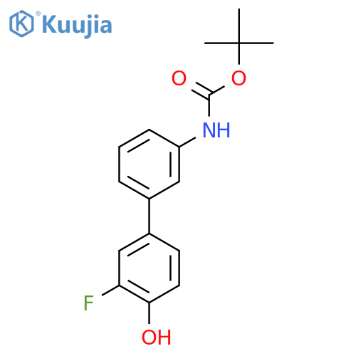 Tert-butyl N-[3-(3-fluoro-4-hydroxyphenyl)phenyl]carbamate structure