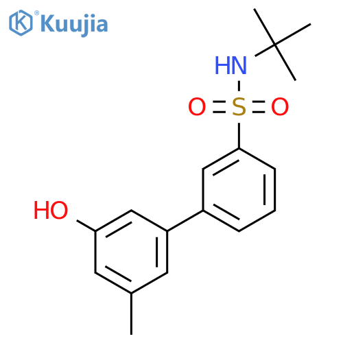 N-Tert-butyl-3-(3-hydroxy-5-methylphenyl)benzenesulfonamide structure