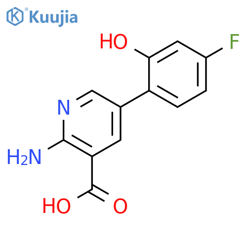 2-Amino-5-(4-fluoro-2-hydroxyphenyl)pyridine-3-carboxylic acid structure