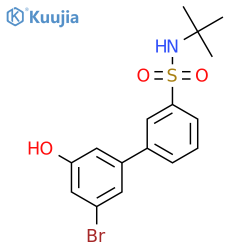 3-(3-Bromo-5-hydroxyphenyl)-N-tert-butylbenzenesulfonamide structure