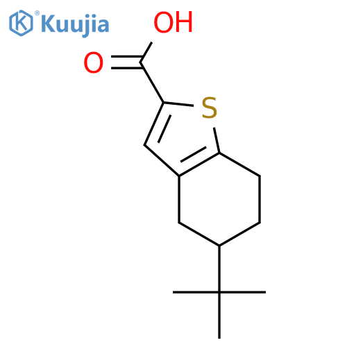 5-tert-butyl-4,5,6,7-tetrahydro-1-benzothiophene-2-carboxylic acid structure