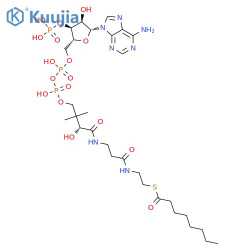 Octanoyl Coenzyme A structure