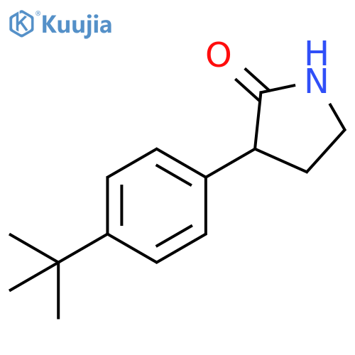 3-(4-tert-butylphenyl)pyrrolidin-2-one structure