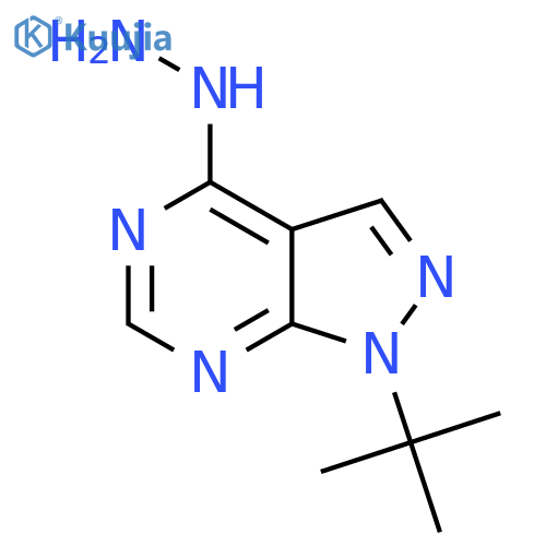 1-tert-butyl-4-hydrazinyl-1H-pyrazolo[3,4-d]pyrimidine structure