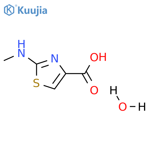 2-(methylamino)-1,3-thiazole-4-carboxylic acid hydrate structure