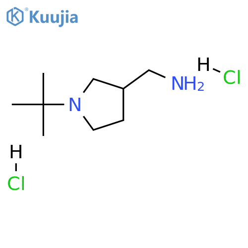 (1-tert-butylpyrrolidin-3-yl)methanamine dihydrochloride structure