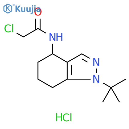 N-(1-tert-Butyl-4,5,6,7-tetrahydro-1H-indazol-4-yl)-2-chloroacetamide Hydrochloride structure