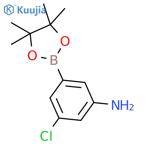 3-chloro-5-(4,4,5,5-tetramethyl-1,3,2-dioxaborolan-2-yl)aniline structure