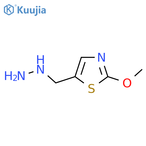 5-(hydrazinylmethyl)-2-methoxy-1,3-thiazole structure