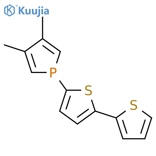 1H-Phosphole, 1-[2,2'-bithiophen]-5-yl-3,4-dimethyl- structure