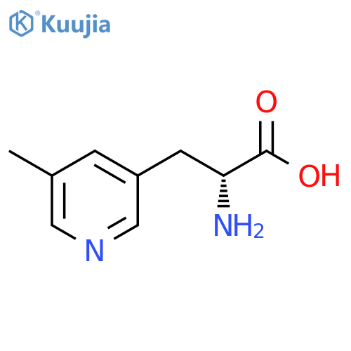 (2R)-2-AMINO-3-(5-METHYLPYRIDIN-3-YL)PROPANOIC ACID structure