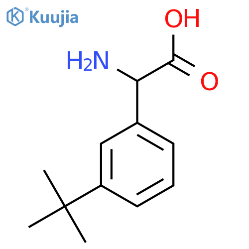 2-amino-2-(3-tert-butylphenyl)acetic acid structure