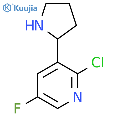 2-chloro-5-fluoro-3-pyrrolidin-2-yl-pyridine structure