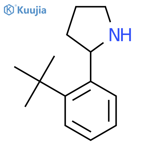2-(2-tert-butylphenyl)pyrrolidine structure