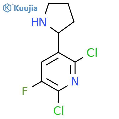 2,6-dichloro-3-fluoro-5-(pyrrolidin-2-yl)pyridine structure