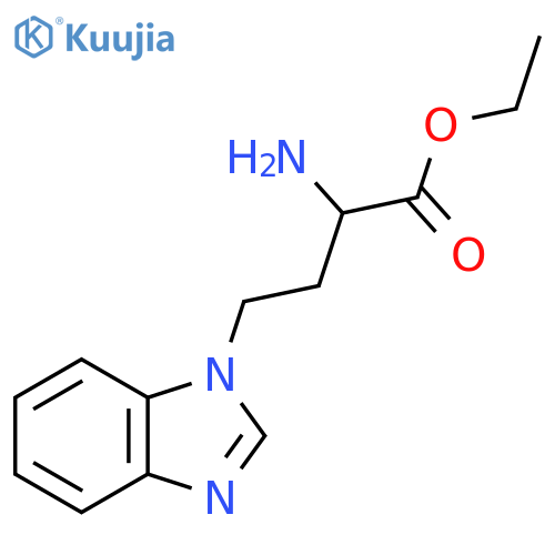 ethyl 2-amino-4-(1H-1,3-benzodiazol-1-yl)butanoate structure