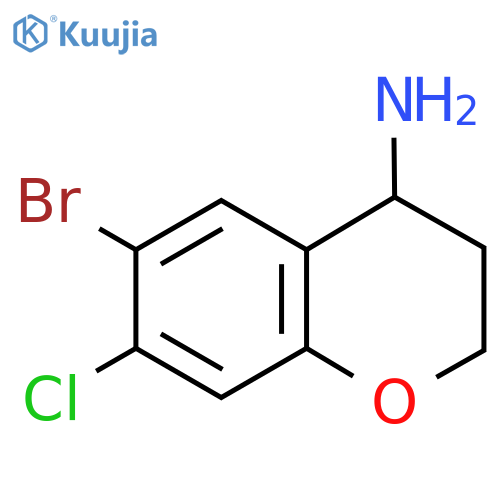 6-BROMO-7-CHLORO-3,4-DIHYDRO-2H-1-BENZOPYRAN-4-AMINE structure