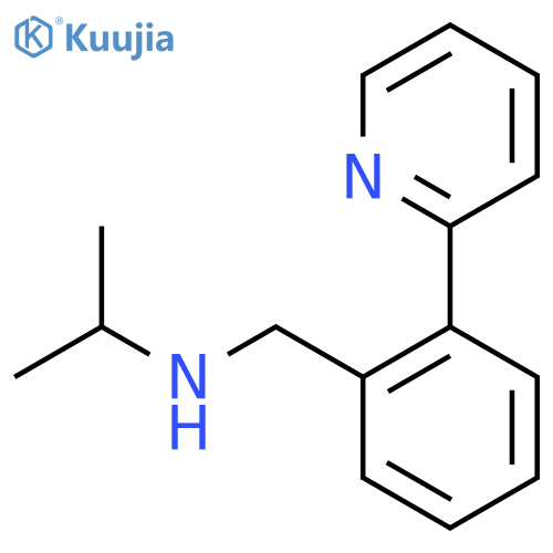 (propan-2-yl)({2-(pyridin-2-yl)phenylmethyl})amine structure