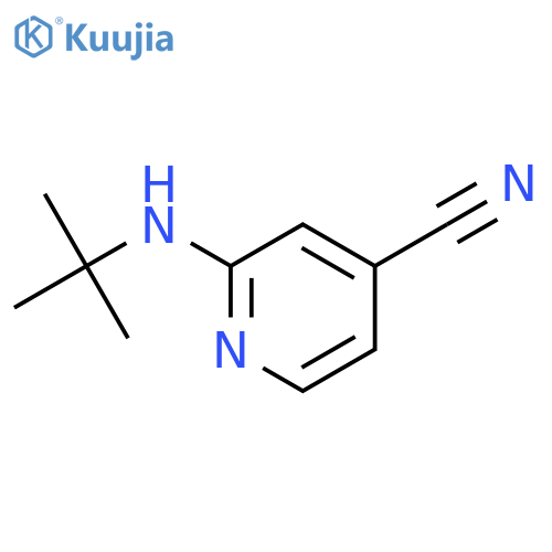 2-(tert-Butylamino)isonicotinonitrile structure