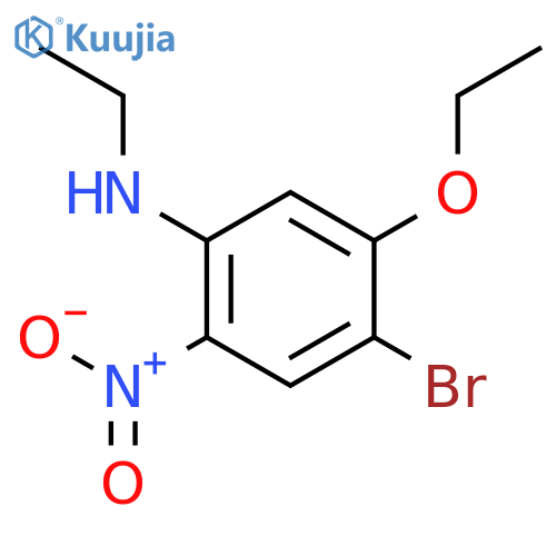 4-Bromo-5-ethoxy-N-ethyl-2-nitroaniline structure