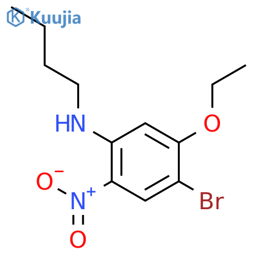 4-Bromo-N-butyl-5-ethoxy-2-nitroaniline structure