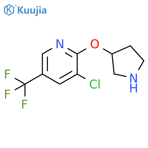 3-chloro-2-(pyrrolidin-3-yloxy)-5-(trifluoromethyl)pyridine structure