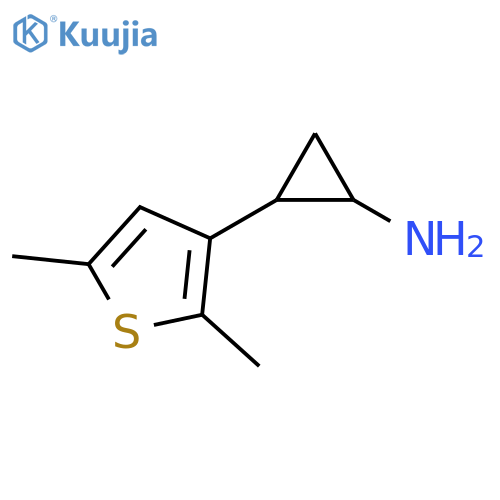 2-(2,5-dimethylthiophen-3-yl)cyclopropan-1-amine structure