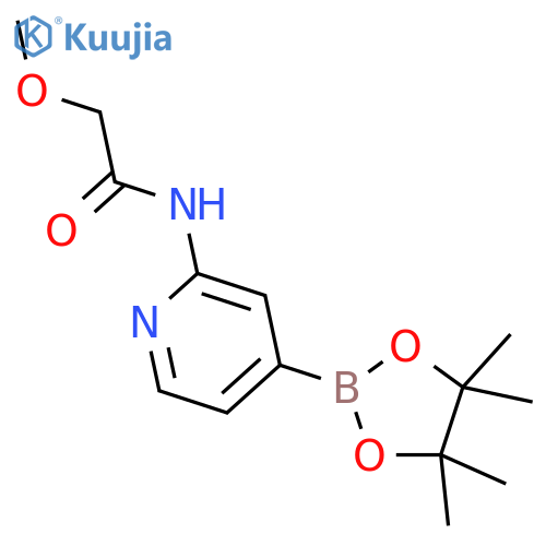 2-Methoxy-N-[4-(4,4,5,5-tetramethyl-[1,3,2]dioxaborolan-2-yl)-pyridin-2-yl] acetamide structure