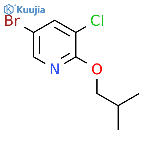 5-bromo-3-chloro-2-(2-methylpropoxy)pyridine structure