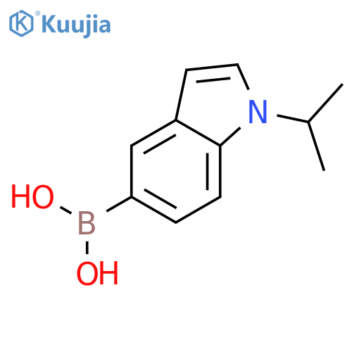 B-[1-(1-methylethyl)-1H-indol-5-yl]-Boronic acid structure