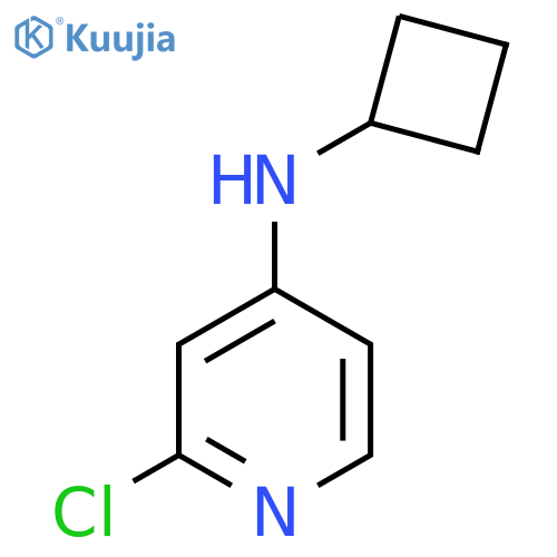 2-Chloro-N-cyclobutylpyridin-4-amine structure
