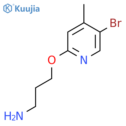 3-[(5-Bromo-4-methylpyridin-2-yl)oxy]propan-1-amine structure