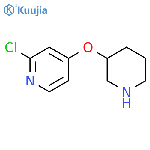 2-chloro-4-(piperidin-3-yloxy)pyridine structure