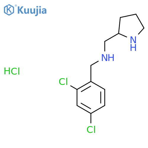 (2,4-Dichloro-benzyl)-pyrrolidin-2-ylmethyl-amine hydrochloride structure