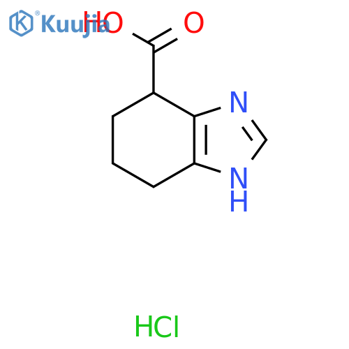 4,5,6,7-Tetrahydro-1H-benzoDimidazole-7-carboxylic Acid Hydrochloride structure