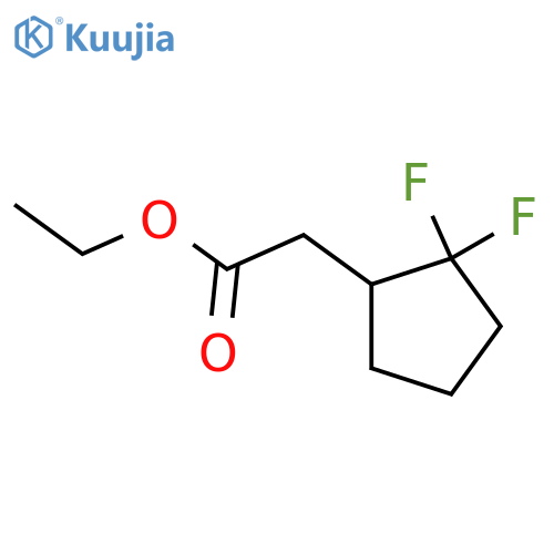 Ethyl 2-(2,2-difluorocyclopentyl)acetate structure