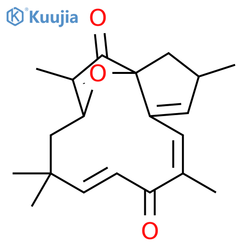 Jatrophon structure
