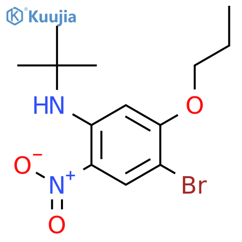 4-Bromo-N-(tert-butyl)-2-nitro-5-propoxyaniline structure