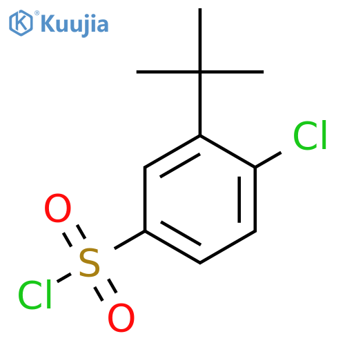 3-tert-butyl-4-chlorobenzene-1-sulfonyl chloride structure