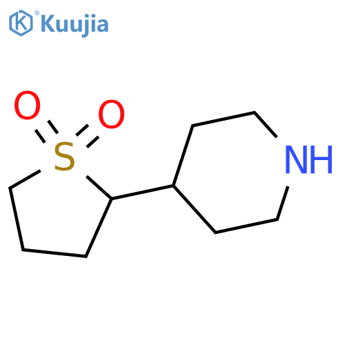 2-(piperidin-4-yl)-1λ?-thiolane-1,1-dione structure