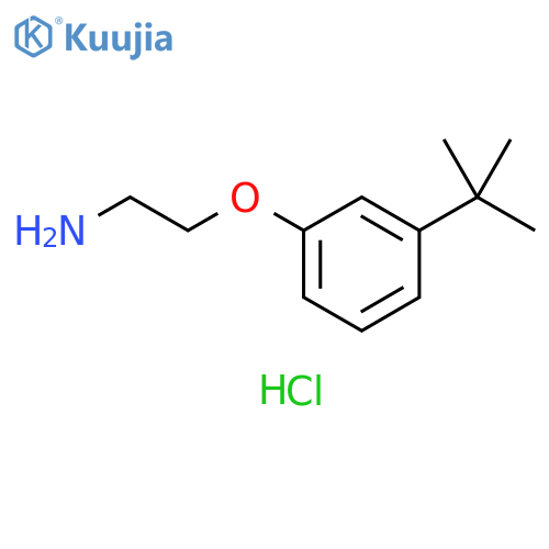 1-(2-aminoethoxy)-3-tert-butylbenzene hydrochloride structure