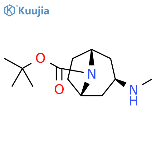 8-Azabicyclo[3.2.1]octane-8-carboxylic acid, 3-(methylamino)-, 1,1-dimethylethyl ester, (3-exo)- structure