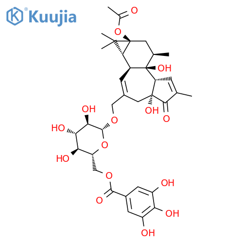 fischeroside B structure