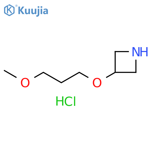 3-(3-methoxypropoxy)azetidine hydrochloride structure