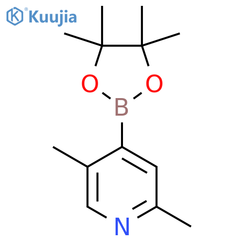 2,5-Dimethyl-4-(4,4,5,5-tetramethyl-1,3,2-dioxaborolan-2-yl)-pyridine (>90%) structure