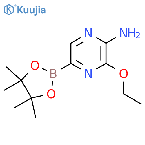 5-Amino-6-ethoxypyrazine-2-boronic acid pinacol ester structure