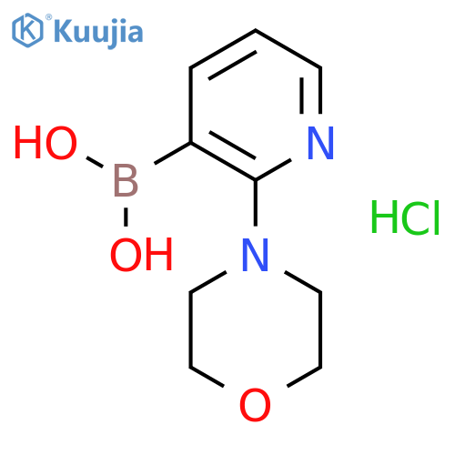 (2-morpholino-3-pyridyl)boronic acid hydrochloride structure