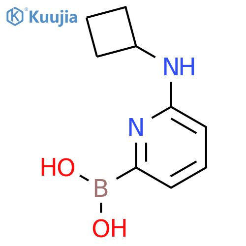 (6-(Cyclobutylamino)pyridin-2-yl)boronic acid structure