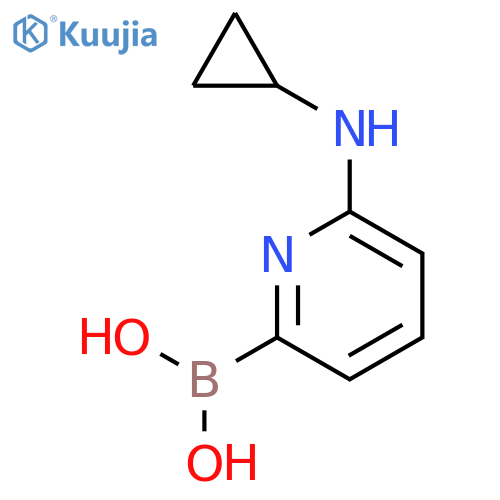 (6-(Cyclopropylamino)pyridin-2-yl)boronic acid structure