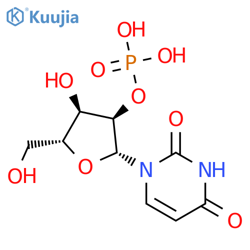 2'-Uridylic acid structure